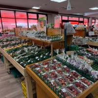 桃の季節になりましたね　2025年