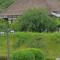 バス旅