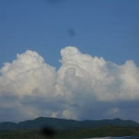 田植えも準備段階？