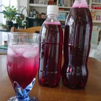 しそジュースを作りました～♪