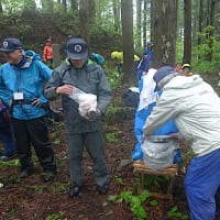 2015ぶら田川　田川太郎の里歴史ウォーク