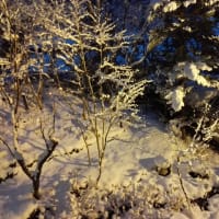 湯西川温泉の雪風情