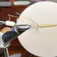 モンカゲ量産準備