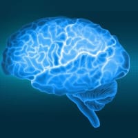1日中座っていると脳が縮む？　最新研究が示すリスク