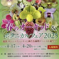 春のオーキッド&ボタニカルフェア2025 in サンシャイン開催へ