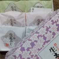 リムパーザ服用173日目 届いたー🎵