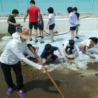 6月4日(火)　プール清掃がありました。
