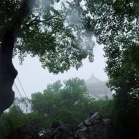 06/12お城めぐり-21（岐阜城：稲葉山城、）