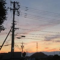 菖蒲華く（あやめはなさく）
