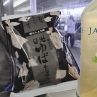 特急スペーシア八王子日光号②