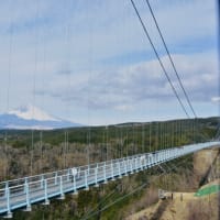 ☆日本一長い吊り橋…♫