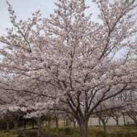 悲しい