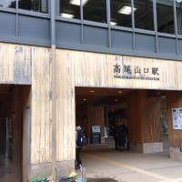 新緑の高尾山
