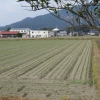 残る日も１０日を切りましたね