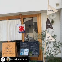 22年8月18日のお店