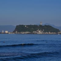 19/Jun 江ノ島と富士山と紫陽花とサンコウチョウ