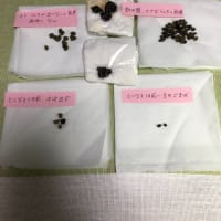 あれから