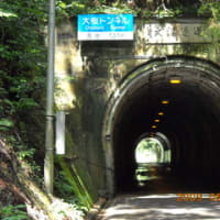 大桜トンネル