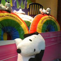 USJ
