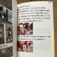 gooブログ終了で思うこと