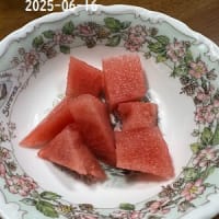 お野菜とスイカ　奈緒は大喜び