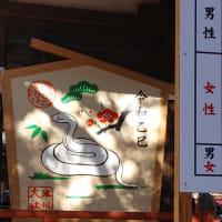 新春の氷川神社とご利益