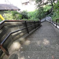和光市白子の百段階段！ふらりとやって来ました。実際は77階段でした。