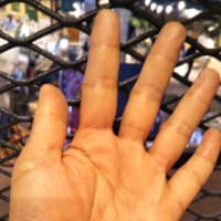 手相で希望わく