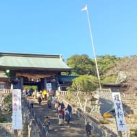 明けましておめでとうございます🎍