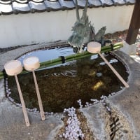 桜流しの前に