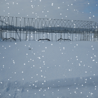 雪が降る