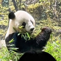 久し振りの投稿です。(*^▽^*)