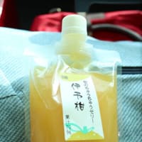 2024年10月5日～　墓終いの旅で愛媛へ　最終話　その15  チェックアウト前にお城に行ってからチェックアウト東京へ