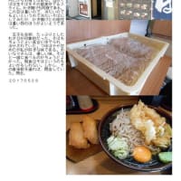 散策(食事編548)　｢東京中心北－1008｣   そば新 新宿小滝橋通り店(閉店)