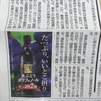 身辺調査開始【選挙投票先】2025/07/02