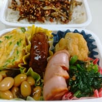 2025.6.4(水)5(木)のお弁当と大豆製品