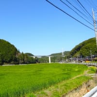 思いっきり期待「がん治療“ADC”」