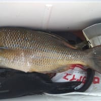釣果