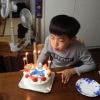 「ちびきし」8歳のお誕生日おめでとう(*^_^*)