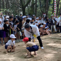 千一夜第3章第401夜　春祭り子ども角力大会