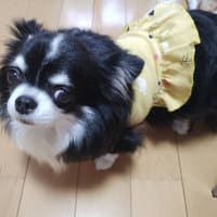 2025年の記録～その2　愛ちゃんの誕生日
