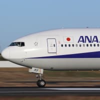 飛行機(ANA)着陸・滑走