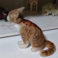 羊毛っこ　猫さん♪生まれました(*^^*)