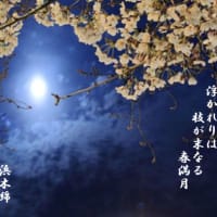 浮かれりは枝が末なる春満月　　浜木綿