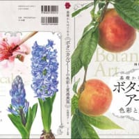ボタニカルアート色彩と質感表現　マール社刊