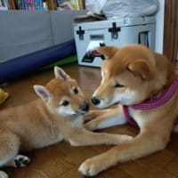 6月26日　「不動産アルアル」　更新してます！　