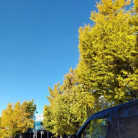 11月下旬の町の風景と手作りの干し柿とセーター