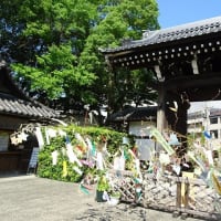 七夕　星に願いを・・・’25