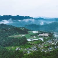 生坂産ぶどう「イクサカラット」の生い立ちと草尾上野ぶどう畑上空からの風景