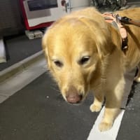 貞子？